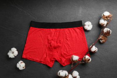 Sustainable Selections: The Importance of Eco-Friendly Fabrics in Premium Men's Underwear